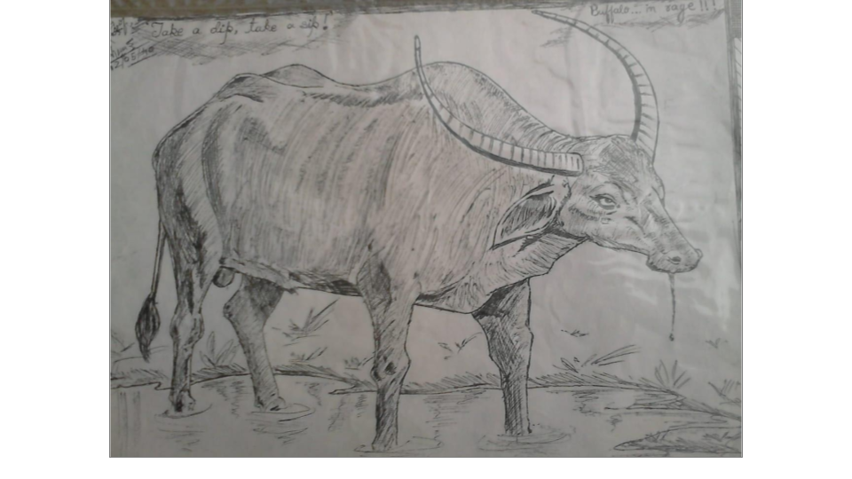 Sketch — work sample